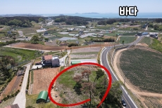 617